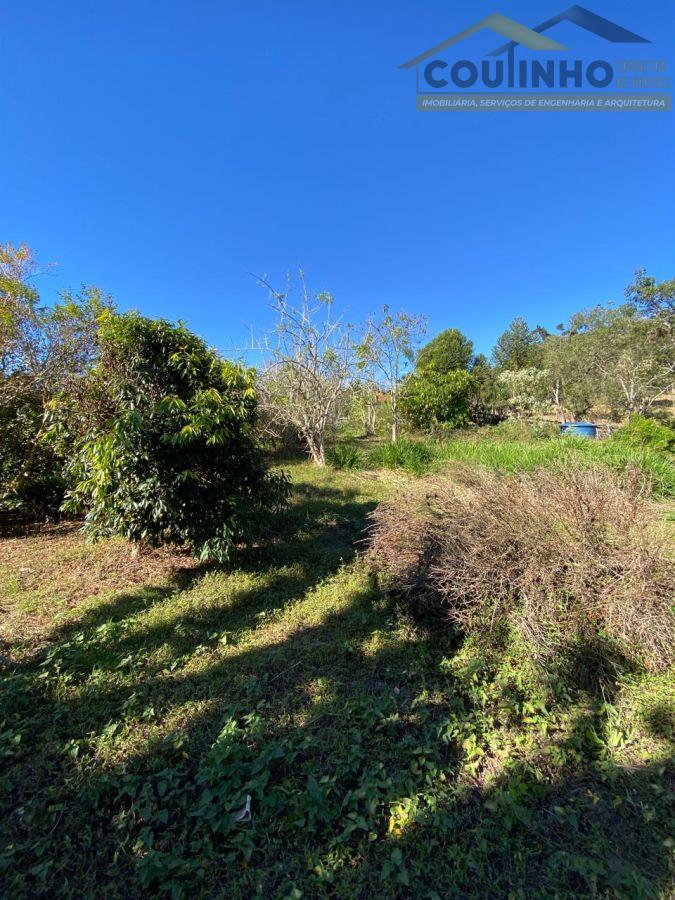 WhatsApp Image 2025-08-01 at 09.06.31 (19).jpeg